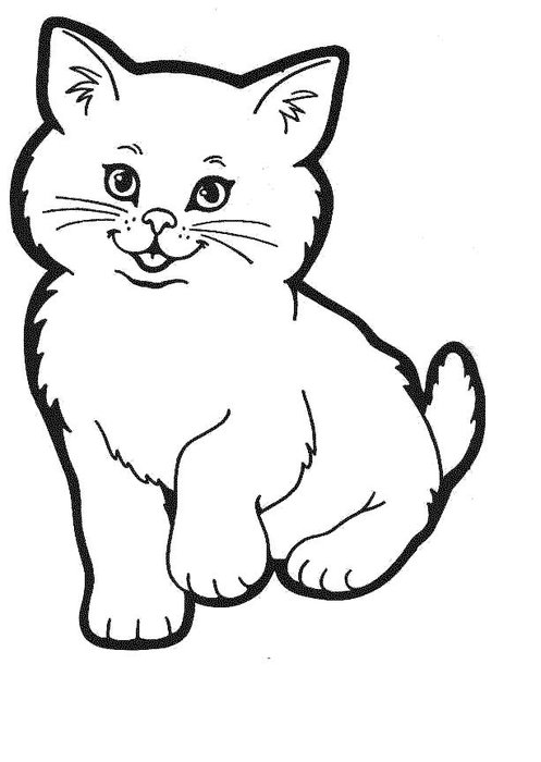 Раскраски котенок раскраски, пушистый котенок, для детей