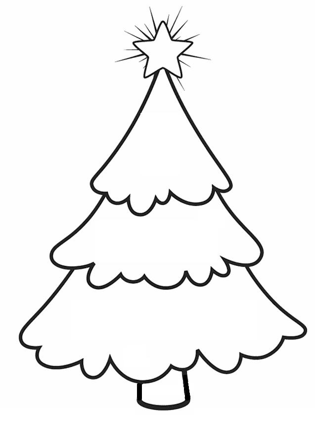 evergreen tree coloring pages - photo #9