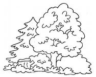 Розмальовки Природа Розмальовки на тему ліс, лісова природа, гриби, ягоди, кущі