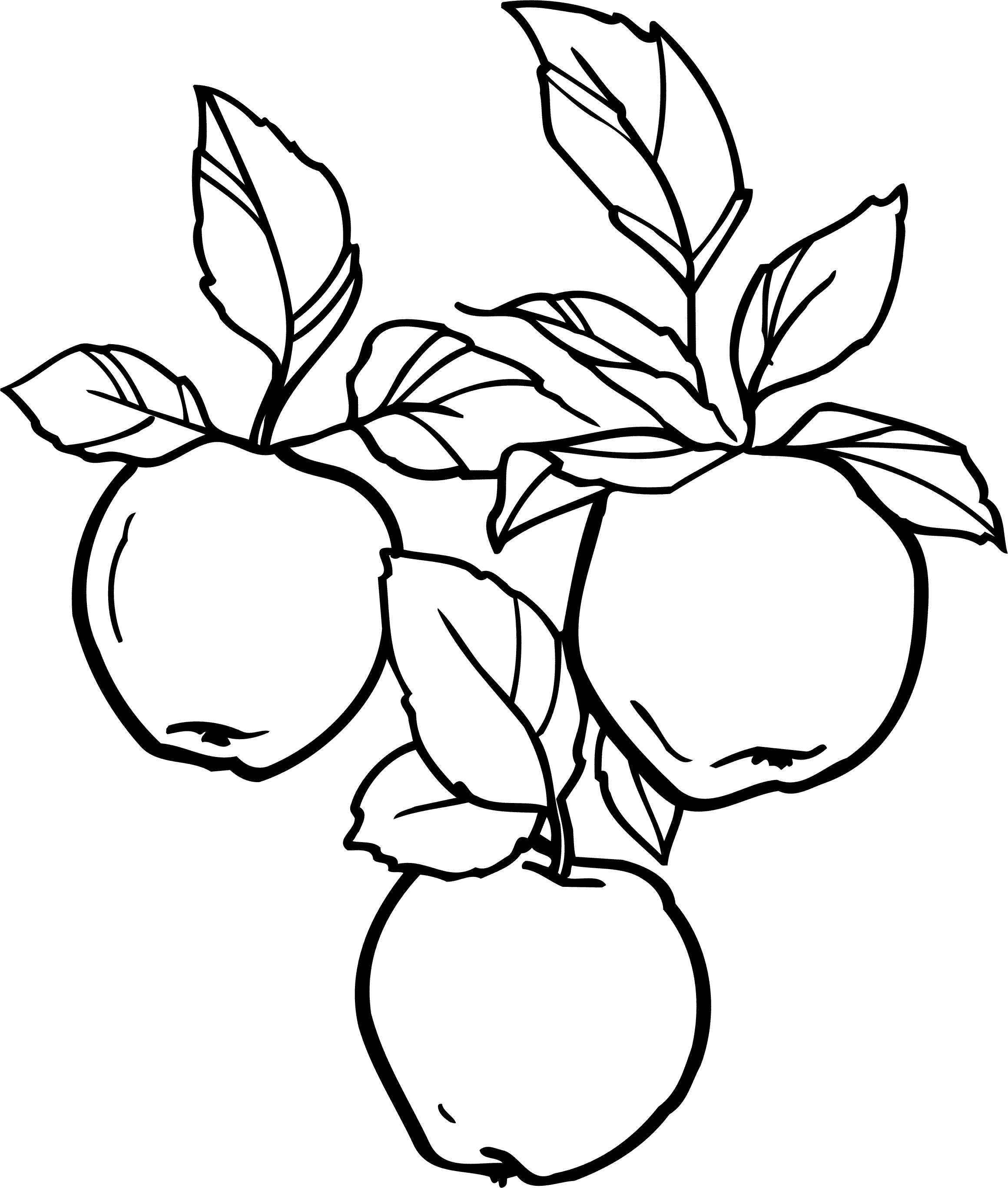 Розмальовки Яблука  Розмальовка, діти, яблуко, три, ростуть, яблуня