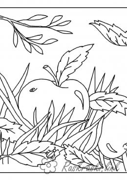 Розмальовки Яблука  Стигле, яблуко, наливне, червоне, дитяча розфарбування 