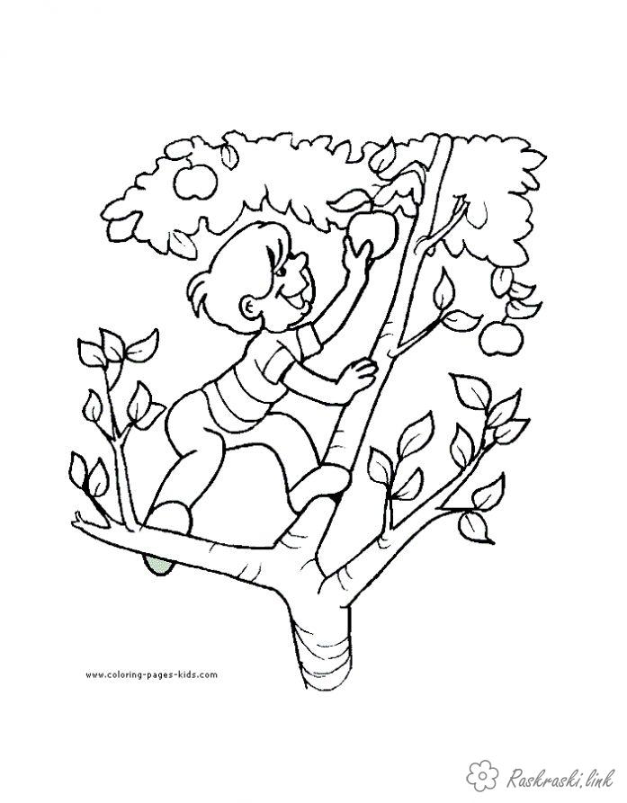 Розмальовки Дерева розфарбування яблунька, хлопчик рве яблучка, природа