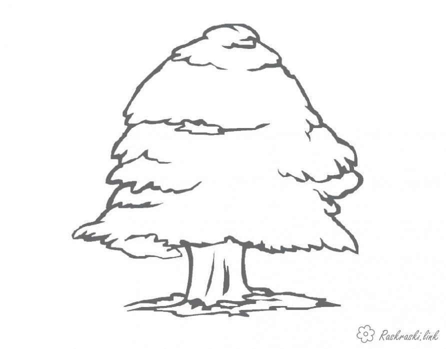 Розмальовки природа розфарбування велике дерево 