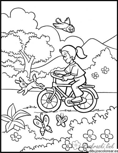 Розмальовки квіточки розфарбування літо прогулянка велосипед метелики квіточки 