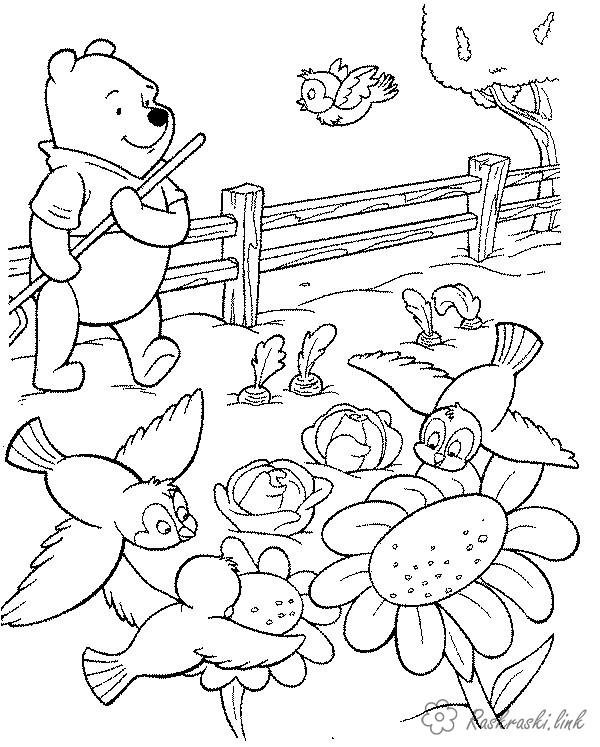Розмальовки вінні розфарбування літо ведмедик вінні пух квіточки пташки