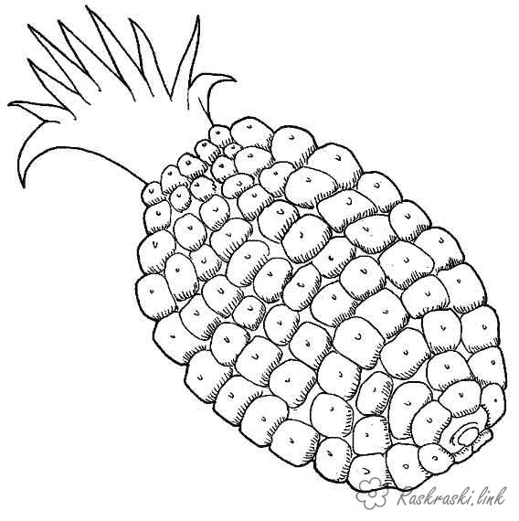 Розмальовки фрукти Великий свіжий і колючий ананас, розфарбування