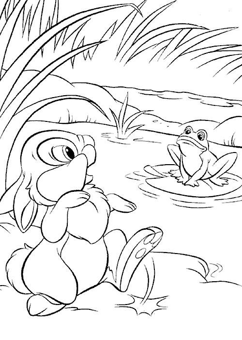 Раскраски раскраски для детей по сказкам Зайчонок удивленно смотрит на лягушонка который сидит в болоте на кувшинке