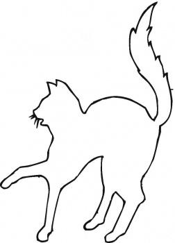 Раскраски Контур кота испуганный кот