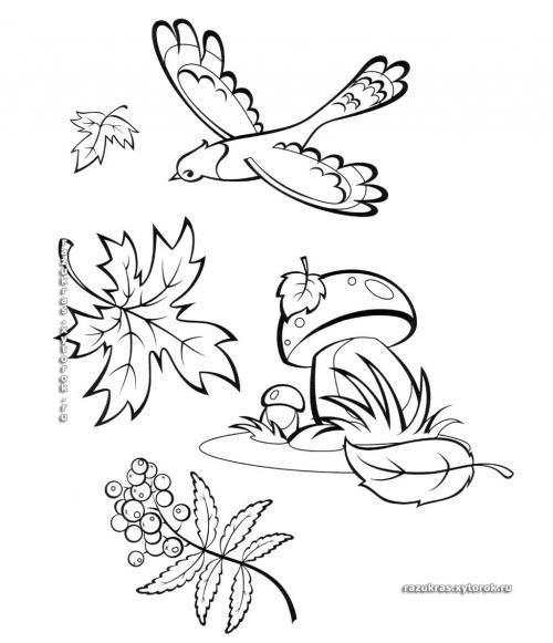 Раскраски раскраски для детей по сказкам Летает птица падают листочки растет большой гриб а рядом маленький и растут ягоды