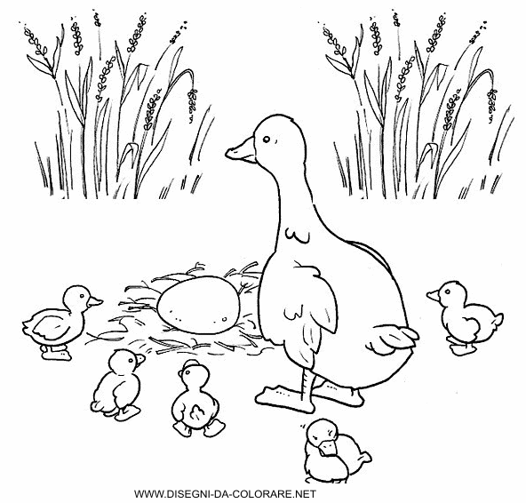 Раскраски раскраски для детей по сказкам Мама утка со своими утятами ждут когда вылупится последний утенок из яйца