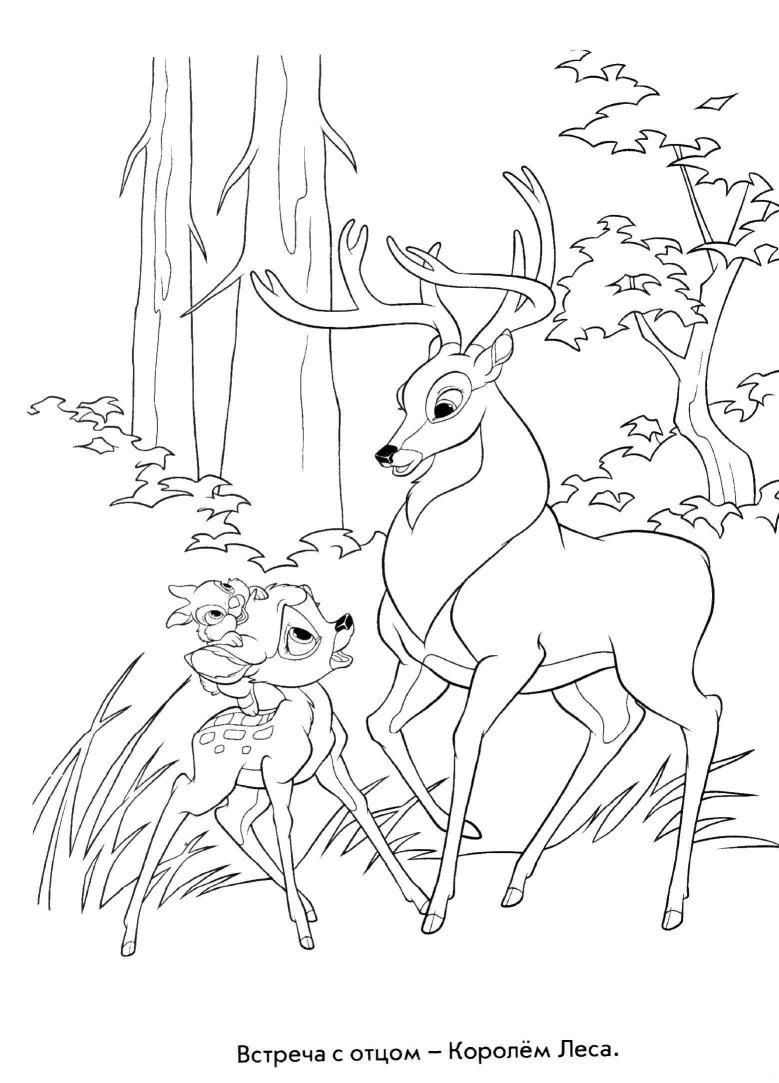 Раскраски раскраски для детей по сказкам Маленький олененок встречается в лесу с отцом Королем леса