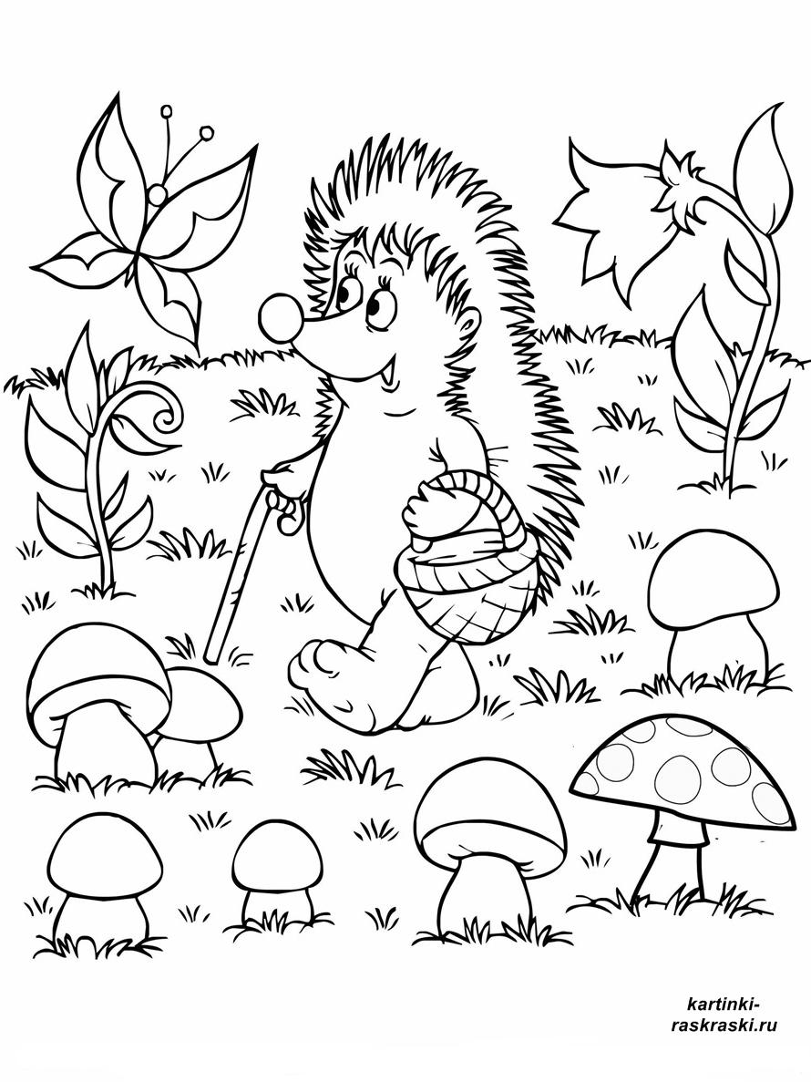 Раскраски раскраски для детей по сказкам Ежик идет по поляне с корзинкой, а рядом растут большие грибы