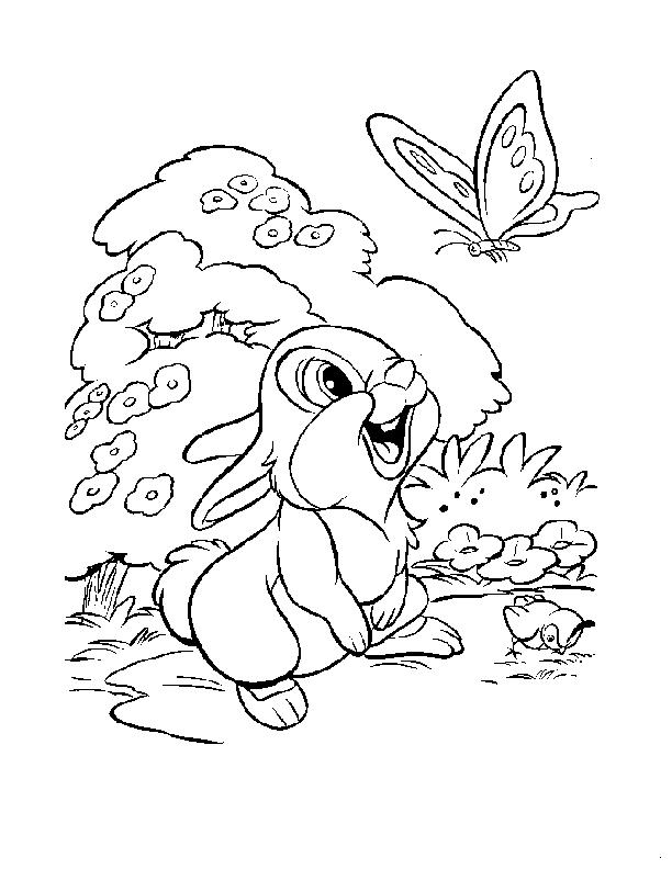 Раскраски раскраски для детей по сказкам Маленький зайчонок смотрит как летает бабочка