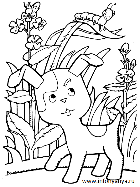 Раскраски раскраски для детей по сказкам Маленький щенок смотрит как по листку ползет гусеница