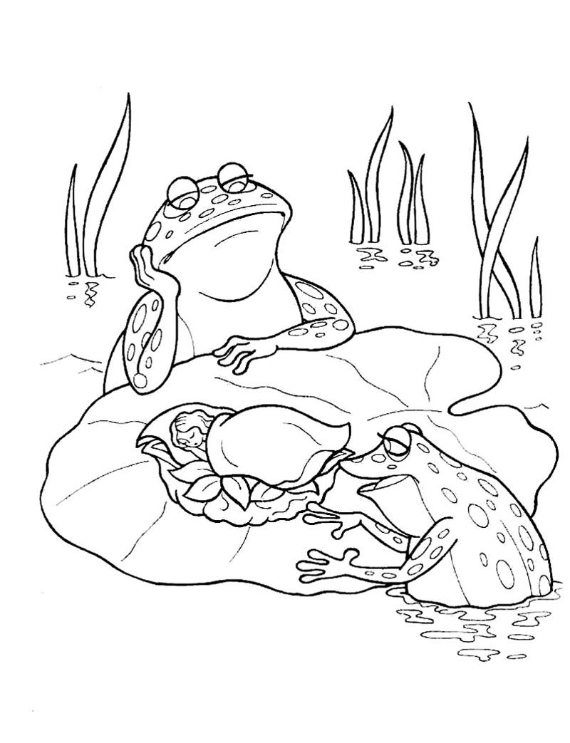 Раскраски раскраски по сказкам Андерсена Дюймовочка спит на большом листке и на нее смотрят две большие жабы