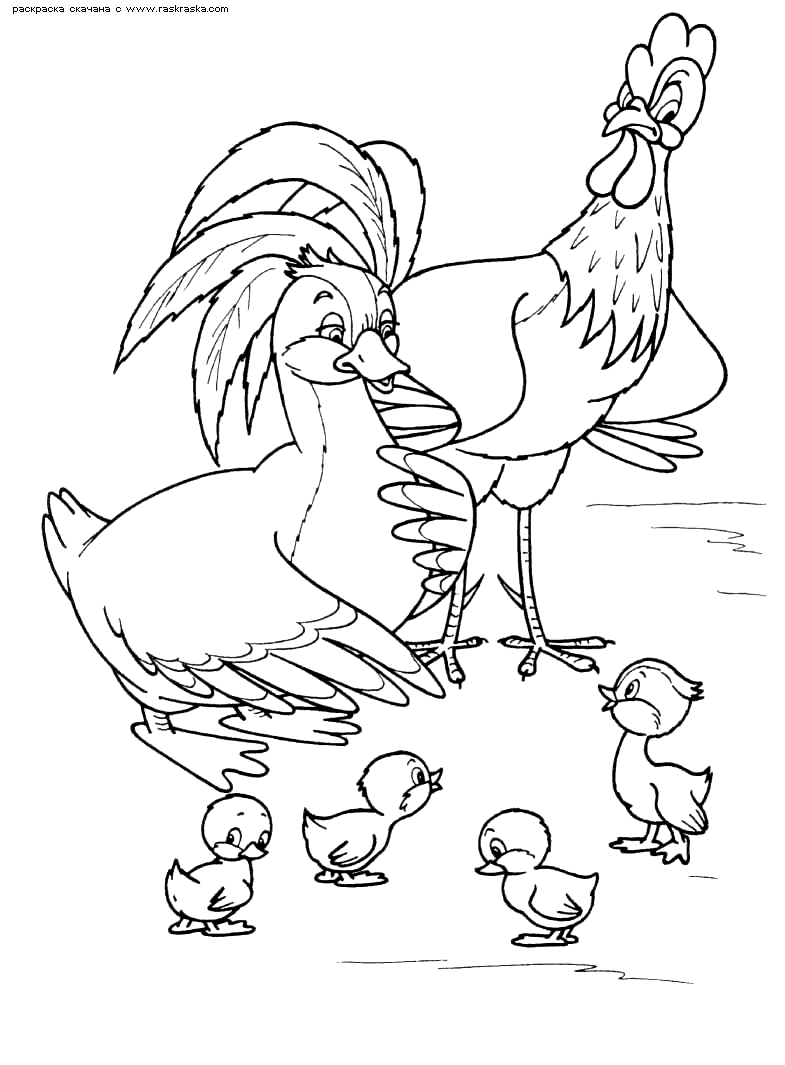 Раскраски раскраски по сказкам Андерсена Мама утка со своими утятами гуляют в птичьем дворе
