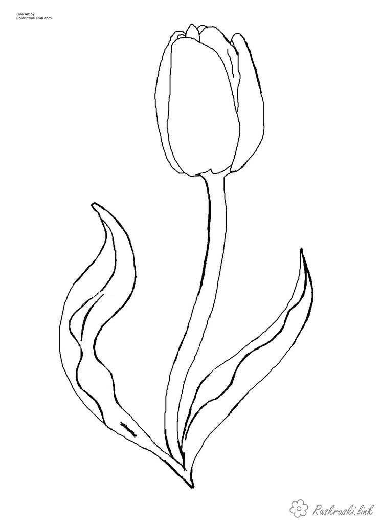 Розмальовки тюльпаны Цветы, тюльпаны, весна