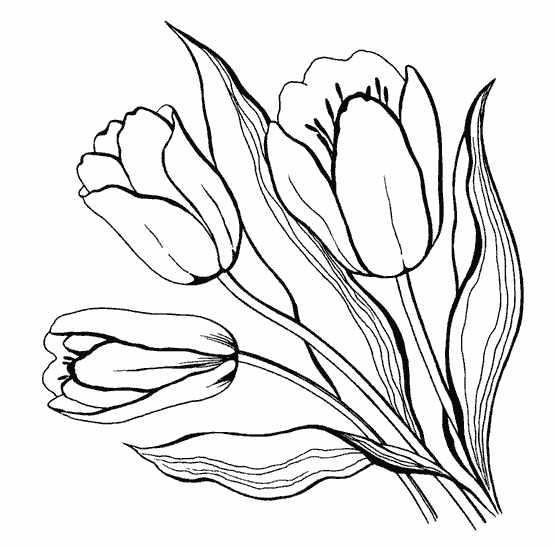 Розмальовки пори Цветы, тюльпаны, весна