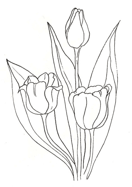 Розмальовки природа тюльпан