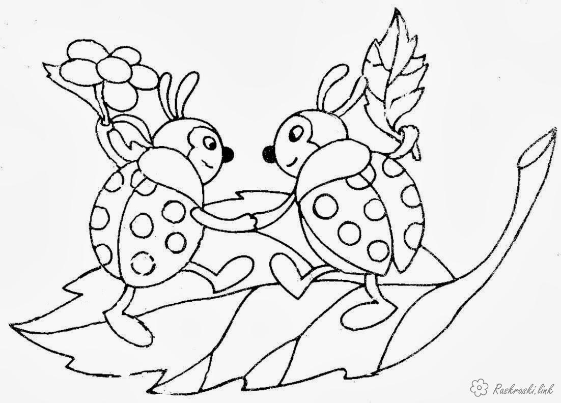 Розмальовки Комахи дитячі розмальовки, комахи, друзі, сонечко, сонечко на листочку