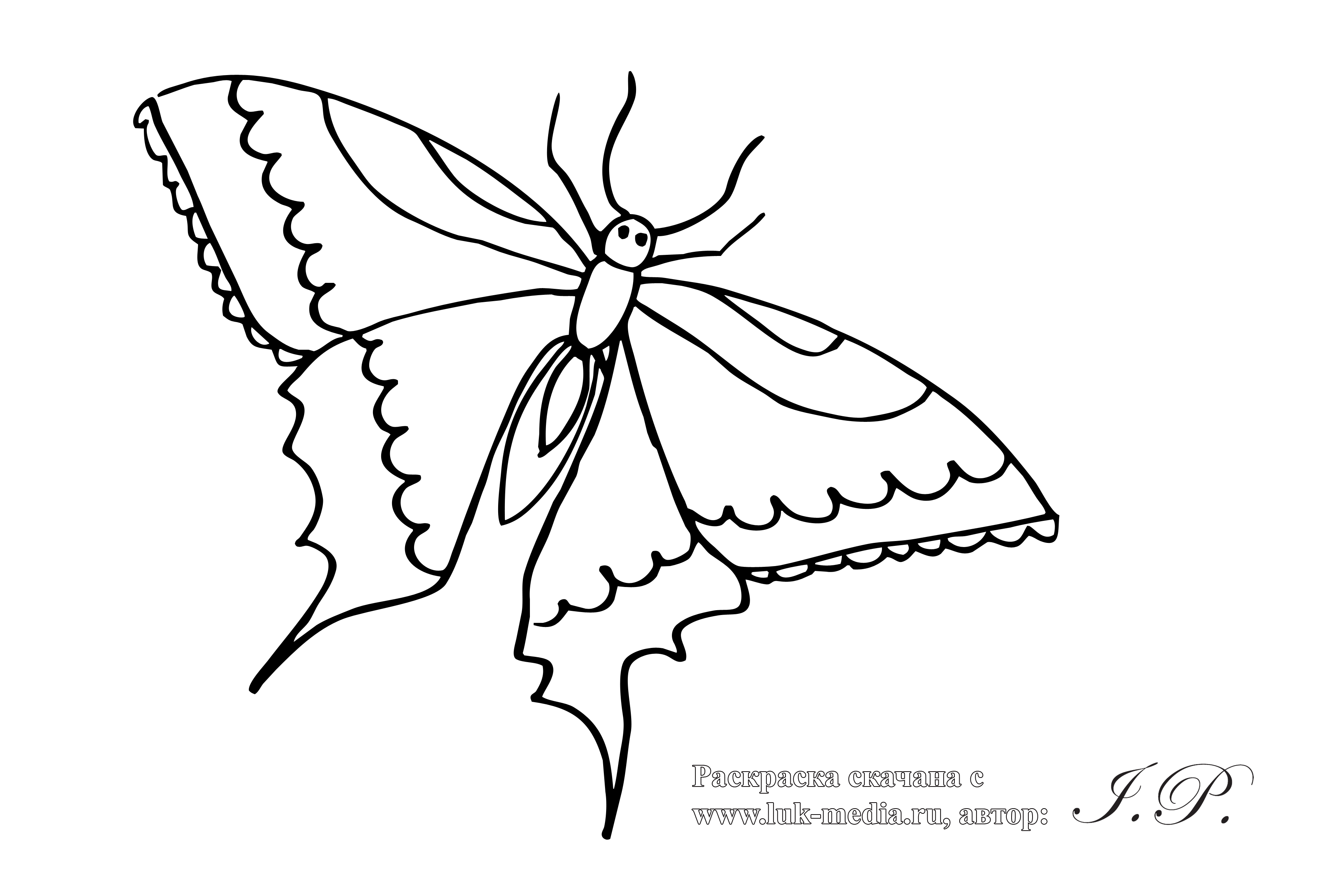 Розмальовки природа детские раскраски, насекомые, бабочка