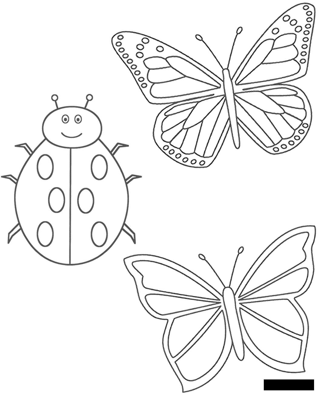 Розмальовки метелики Божа корівка і два метелики