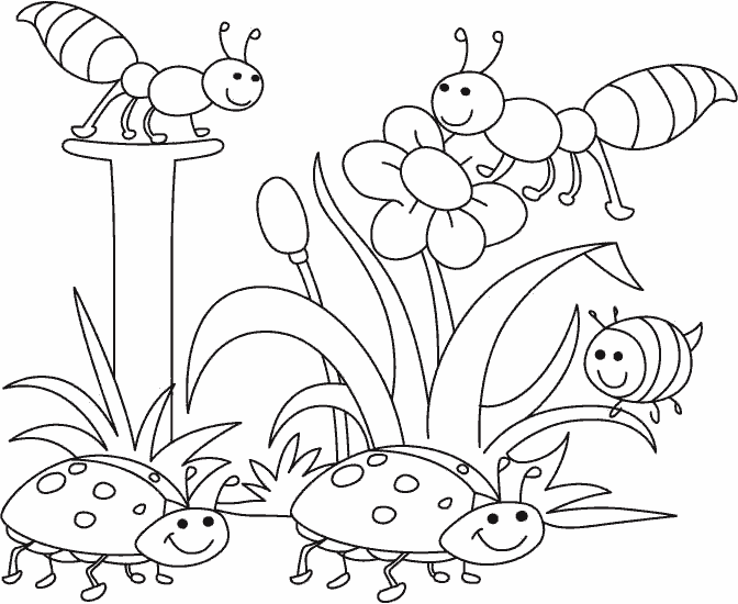 Розмальовки природа дитячі розмальовки, комахи, жучки, жучок, сонечко, квітка, трава