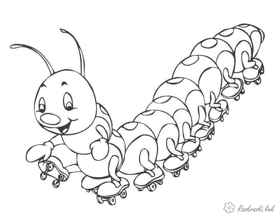 Розмальовки комахи Розмальовка для дітей 