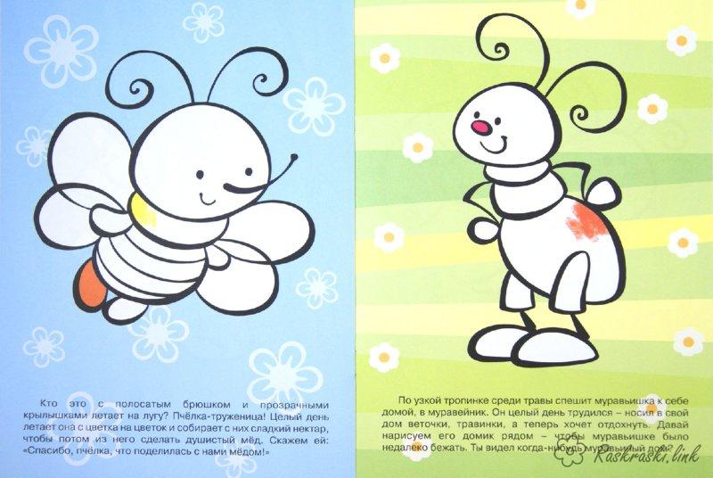 Розмальовки Комахи Раскраска для детей с цветным фоном 