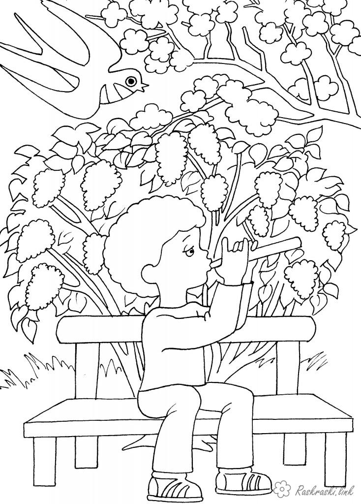Розмальовки Відпочинок на природі Детские раскраски, природа, отдых, отдых на природе, мальчик, мальчик с дудочкой, весна, дерево, ласточка