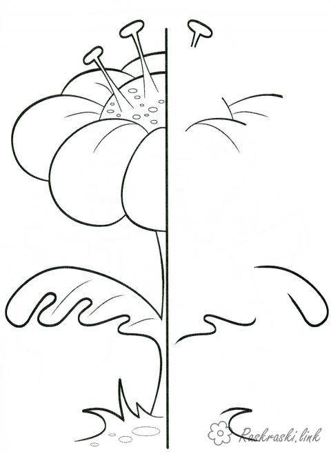 Розмальовки Дорисуй і розфарбуй квітка домалюй