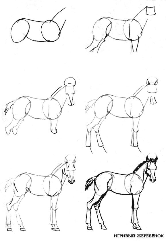 Розмальовки Як намалювати кінь конячка розфарбування вчимося малювати поетапно