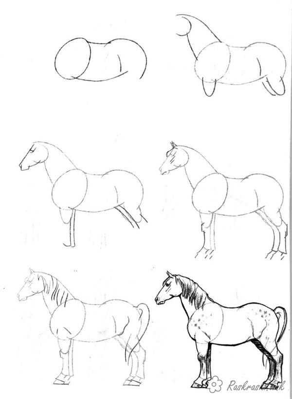 Розмальовки Як намалювати як намалювати коня