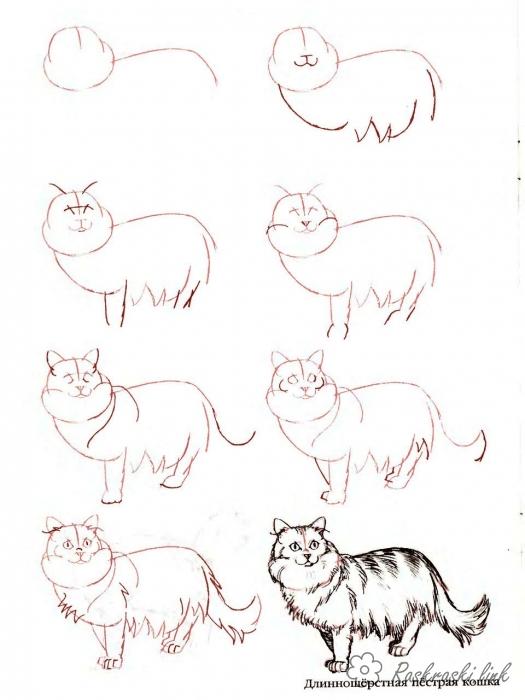 Розмальовки Як намалювати розфарбування кіт як намалювати кота
