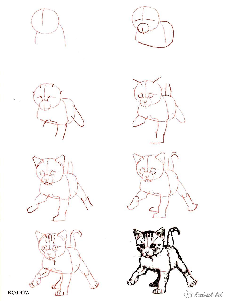 Розмальовки Як намалювати кошеня