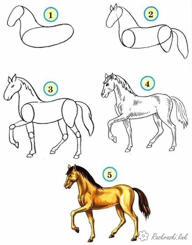 Розмальовки Як намалювати кінь малюємо поетапно