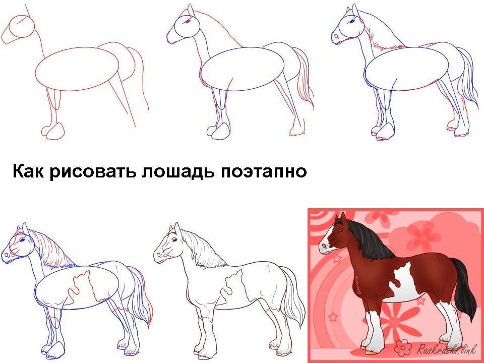 Розмальовки Як намалювати нарисовать лошадь