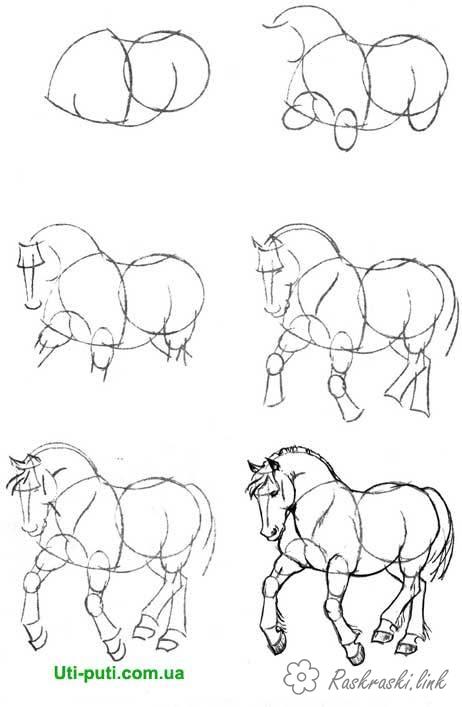 Розмальовки як як намалювати коня