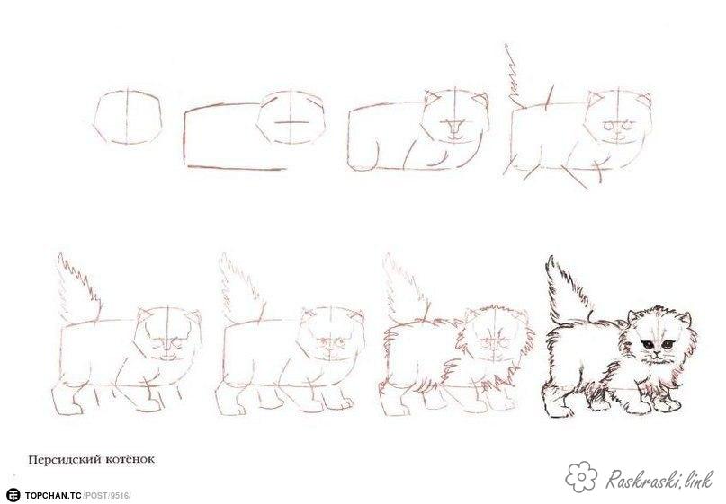 Розмальовки котенок как нарисовать кота