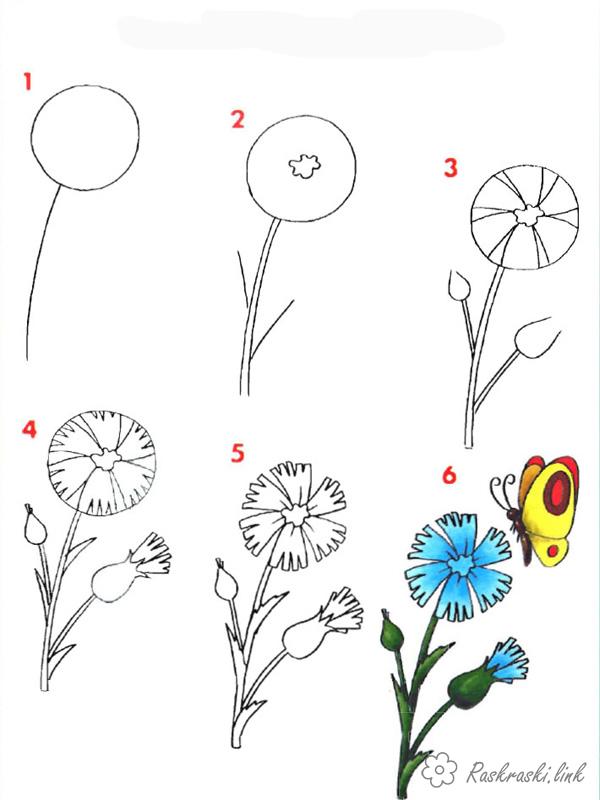 Розмальовки як як намалювати квітку