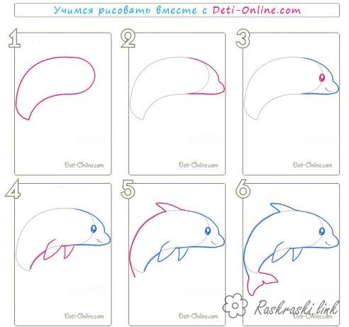 Розмальовки Як намалювати дельфин как нарисовать