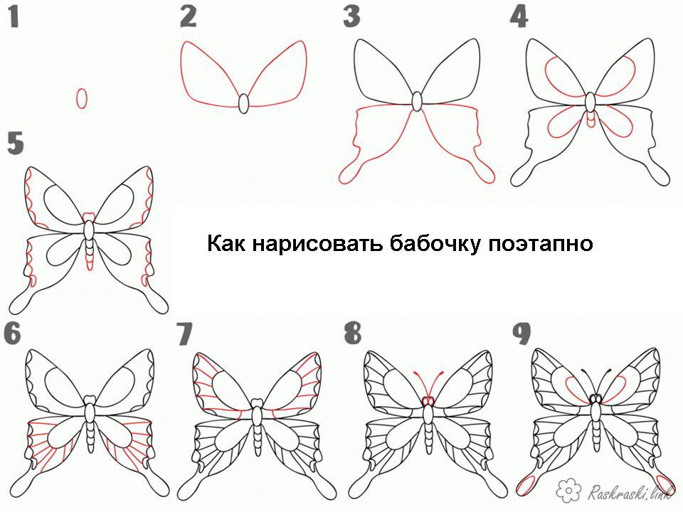Розмальовки Як намалювати как нарисовать бабочку поэтапно