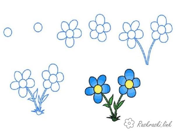 Раскраски Как нарисовать цветок, поэтапно, нарисовать