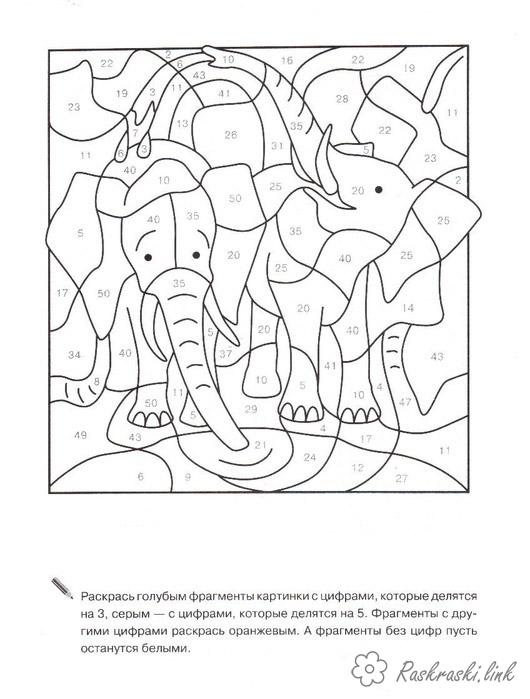 Розмальовки Математичні розмальовки 1 клас Африка, слон, ранній розвиток, розмальовки скачати