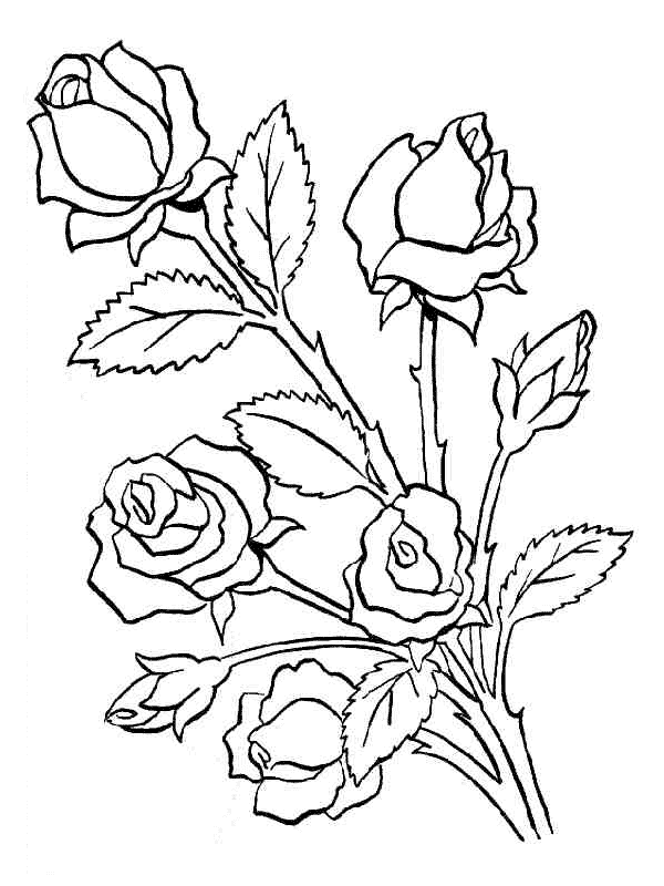 Розмальовки квіти квіточки квіти листочки тюльпани стебло