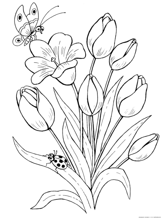 Розмальовки Розфарбувати квіти розфарбування квітів 