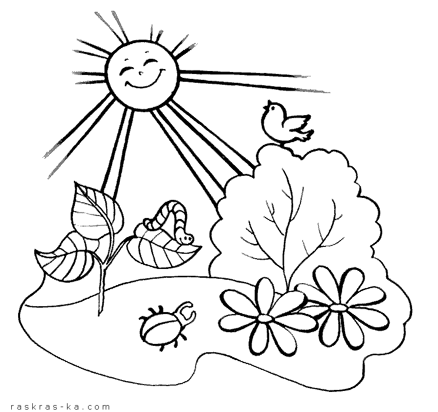 Розмальовки Літо розфарбування, сонце, гусениця, пташка, квіти