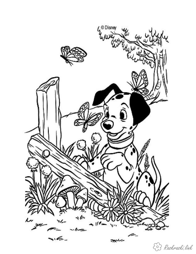 Розмальовки собака розмальовки для дітей, природа, відпочинок на природі, собака, метелики, тварини