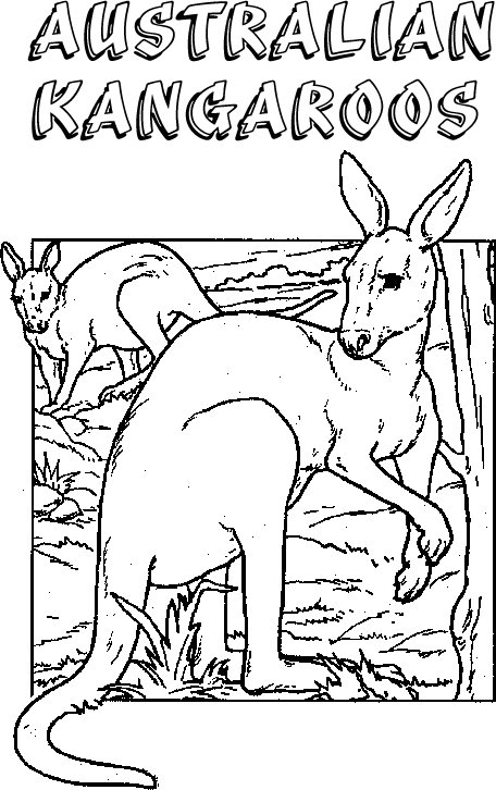 Раскраски Австралия раскраски для детей, животные, Австралия, кенгуру