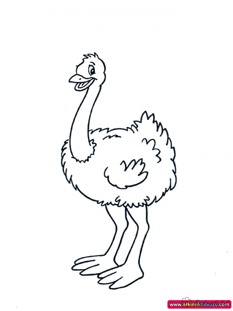 Розмальовки Австралія розмальовки для дітей, тварини, Австралія, страус